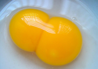 双黄蛋是因为添加了激素吗 双黄蛋和单黄蛋哪个更好