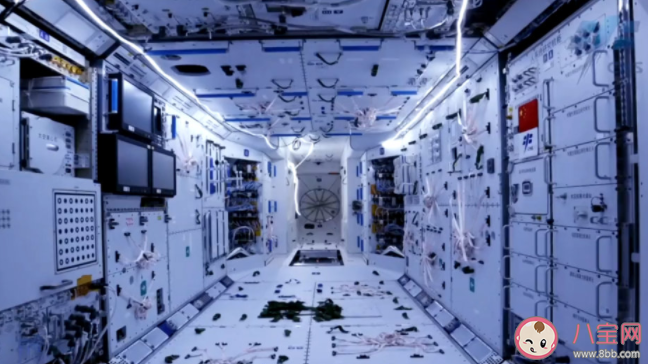航天员|航天员在天上如何生活 太空之家天和核心舱有什么特点