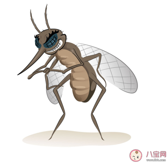 雌蚊子|雌蚊子只需交配一次便可终生产卵 蚊子喜欢在哪儿产卵