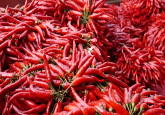 吃辣椒有助于减肥吗 吃辣出汗越多热量消耗越多吗
