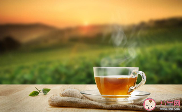 冷泡茶和热茶放凉一样好喝吗 冷泡茶和热茶有什么区别