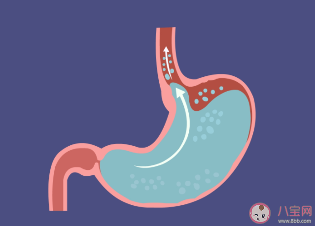 胃酸|胃酸腐蚀能力强大为什么不会消化掉人的胃 蚂蚁庄园7月6日答案解析