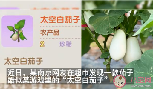 江苏一村庄种出游戏同款太空白茄子 白茄子是什么品种的
