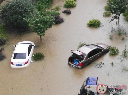 车被水淹了保险会赔吗 车险在哪些情况下不会赔