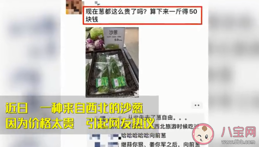 【万爱娱】沙葱卖50一斤仍供不应求 天价沙葱贵在哪