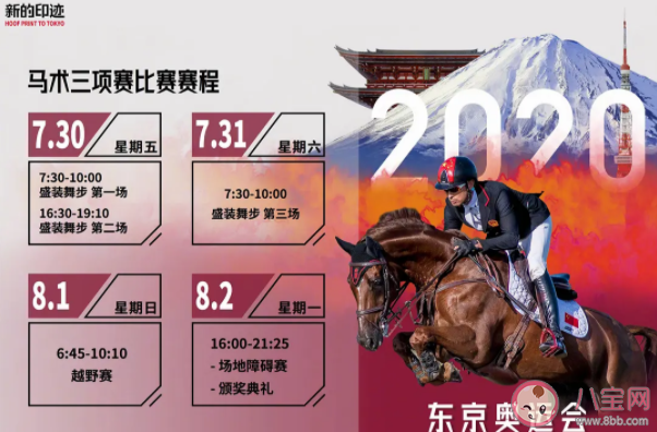 马术比赛的马儿怎么运输的 中国马术队赛马运到东京奥运会需要几步