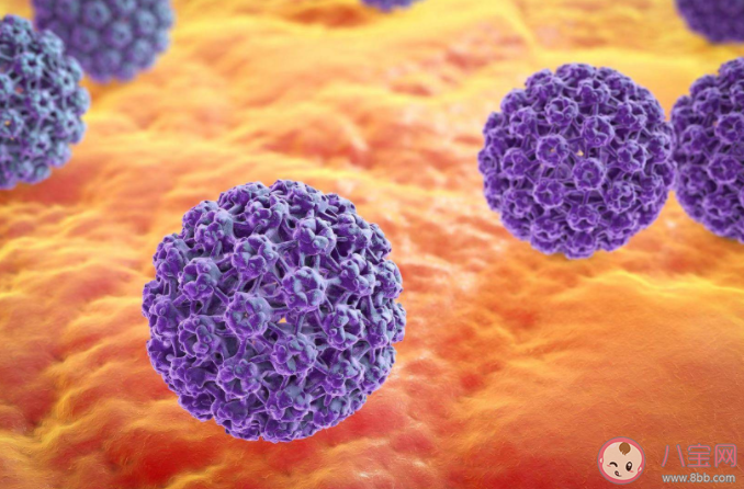 体检发现HPV阳性会得癌吗 HPV清除后还会再感染吗