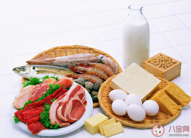 优质蛋白食物有哪些 多摄取优质蛋白对健康有哪些好处