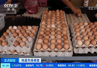 鸡蛋批发价一斤涨一元 鸡蛋为什么涨价了