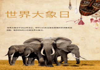 世界大象日的由来是什么 关于大象的一些冷知识