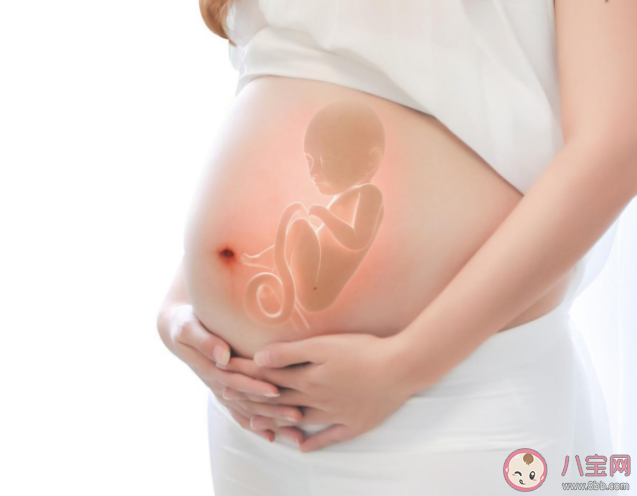 孕期营养补充剂越多越好吗 怀孕期间营养补充剂怎么吃