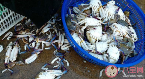 过期海鲜的危害到底有多大 为什么吃死蟹不行