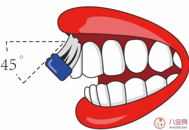 长期不刷牙会引发肺炎吗 刷牙最重要的是刷哪里
