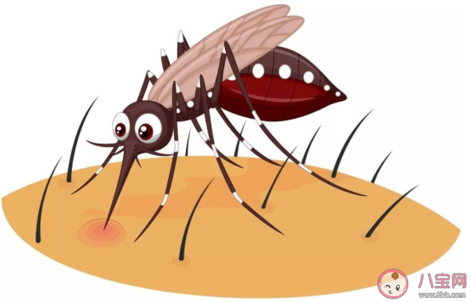 蚊子在秋天战斗力更强是因为秋天什么 ​蚂蚁庄园9月2日正确答案