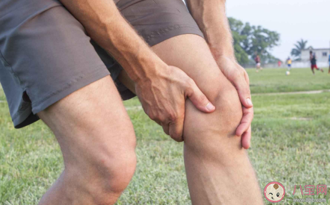 哪些运动会伤膝盖 怎么锻炼运动保护膝盖不受伤