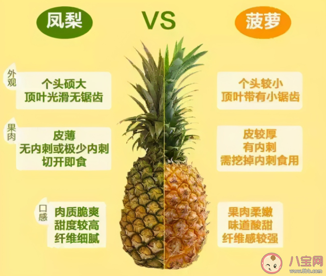 蚂蚁庄园菠萝和凤梨是同一种水果吗 9月8日答案解析