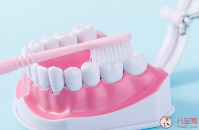人类为什么要刷牙 天天刷牙就没有牙菌斑吗