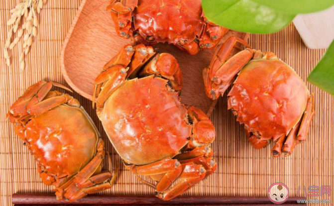 新鲜|怎么买到新鲜的螃蟹 安全吃螃蟹注意这四点