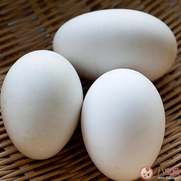 经常吃鹅蛋有什么营养 哪些人不建议吃鹅蛋