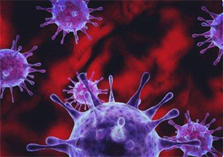 日本发现能传染人类新病毒 Yezo病毒是什么