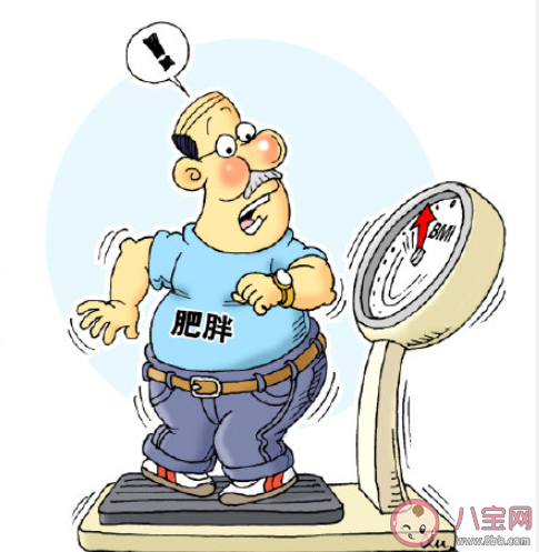 我国超过一半成年人超重 上班族该怎样控制体重