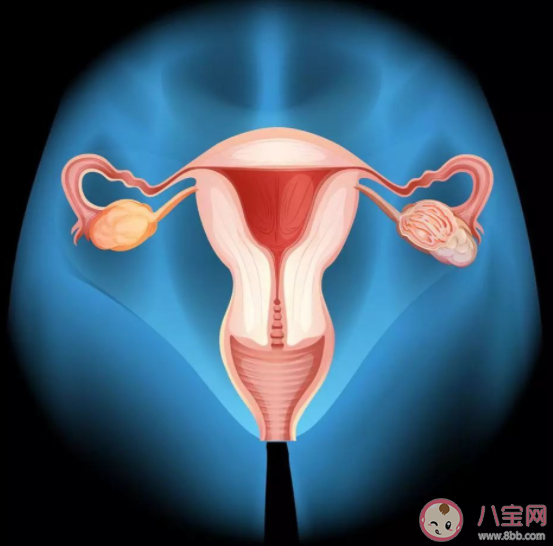 怀孕|怀孕查出宫颈癌要终止妊娠吗 妊娠期宫颈癌的危害是什么
