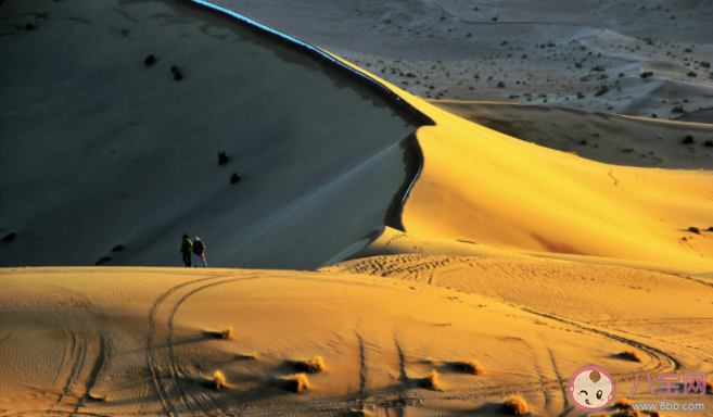 蚂蚁庄园阿拉善沙漠是几大沙漠的统称 11月23日答案解析