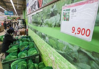 韩国一棵白菜卖近25元 韩国蔬菜为什么那么贵