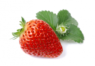 冬天的草莓算反季节水果吗 反季节的草莓可以放心吃吗