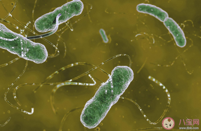 怎样预防感染幽门螺杆菌 为什么共餐会传染幽门螺杆菌