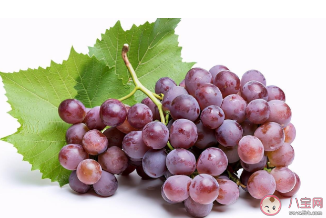 新鲜葡萄和葡萄干的营养有什么区别 吃葡萄干有什么好处
