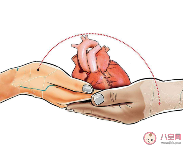 人工心脏|男子植入人工心脏需每天充电 人工心脏断电会怎样