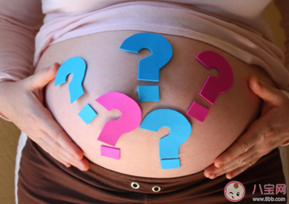孕妇|孕妇梦到鲤鱼是女孩蛇是男孩吗 孕期胎梦解析