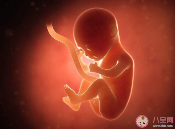 胎儿大小|判断胎儿大小要遵循什么原则 检查时发现宝宝偏大或者偏小怎么办