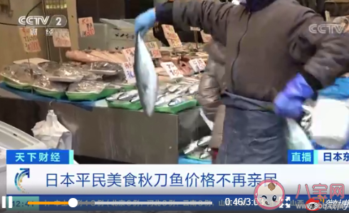 日本秋刀鱼|日本秋刀鱼价格暴涨 秋刀鱼营养价值怎样