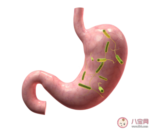 萎缩性胃炎是胃缩小了吗 萎缩性胃炎会癌变吗