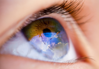 经常转眼球可以降低度数吗 角膜塑形镜能矫正近视吗