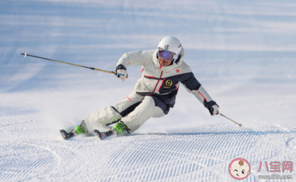 高山滑雪项目中选手滑行过程为什么要碰旗子 蚂蚁庄园2月17日答案介绍