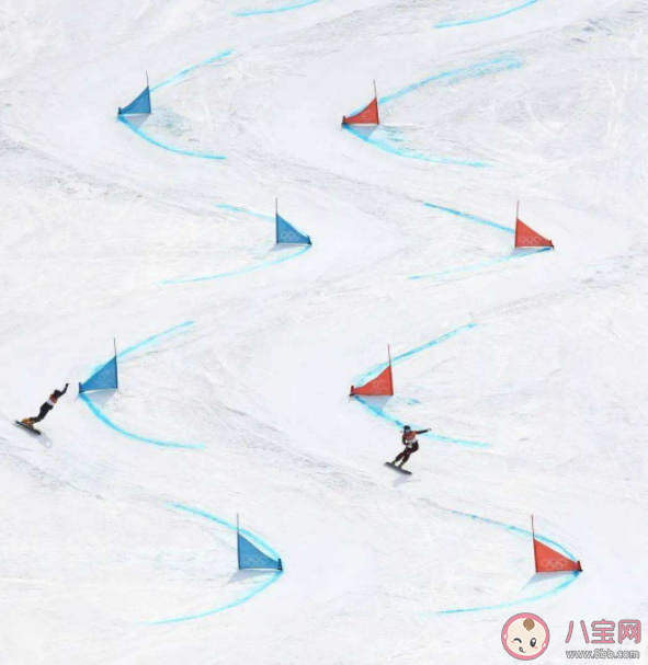高山滑雪选手碰旗子原因是什么 蚂蚁庄园2月27日正确答案