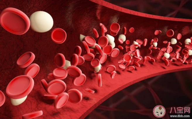 缺铁性贫血特有表现有哪些 关于缺铁性贫血的补血饮食误区