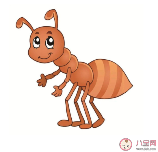 蚂蚁|蚂蚁在冬季消失是因为需要冬眠吗 蚂蚁是如何过冬的