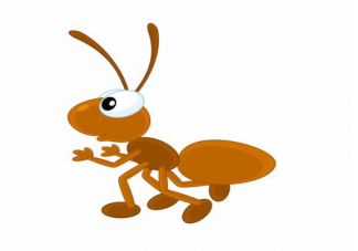 蚂蚁在冬季消失是因为需要冬眠吗 蚂蚁是如何过冬的