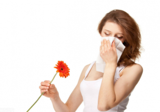 花粉过敏是指所有的花吗 花粉季过敏人群生存指南