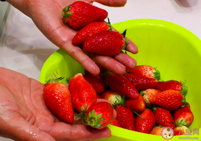 免洗草莓|免洗草莓真的不用洗吗 草莓怎么洗吃起来才安全