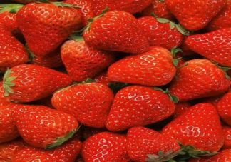 蚂蚁庄园3月10日问题答案：平常吃的草莓其实是它的什么部位