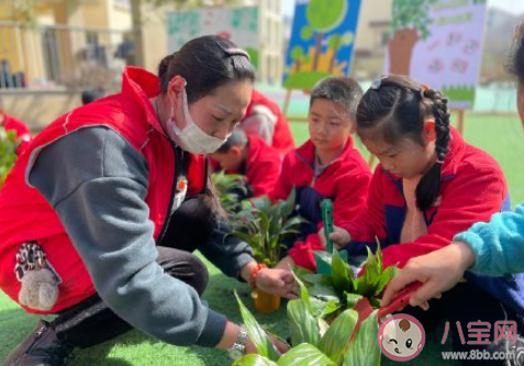 2022幼儿园植树节创意活动报道美篇 2022幼儿园植树活动新闻稿大全