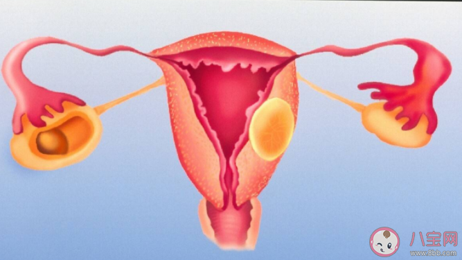 输卵管|一根输卵管还能正常怀孕吗 输卵管越长怀孕的几率越高吗