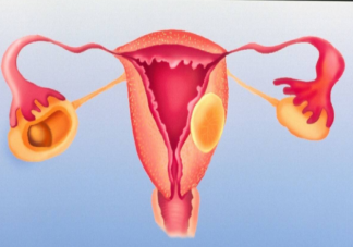一根输卵管还能正常怀孕吗 输卵管越长怀孕的几率越高吗