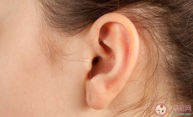 耳朵|耳朵除了听觉功能还可以感知到什么 蚂蚁庄园3月22日答案
