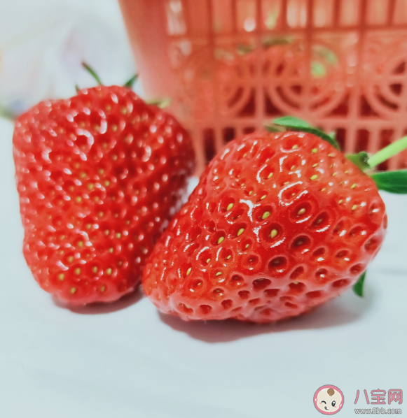 草莓|草莓会打激素孩子吃了会性早熟吗 草莓掉色是因为染色过重吗